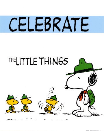 charles-schulz-peanuts-celebrate-the-little-things